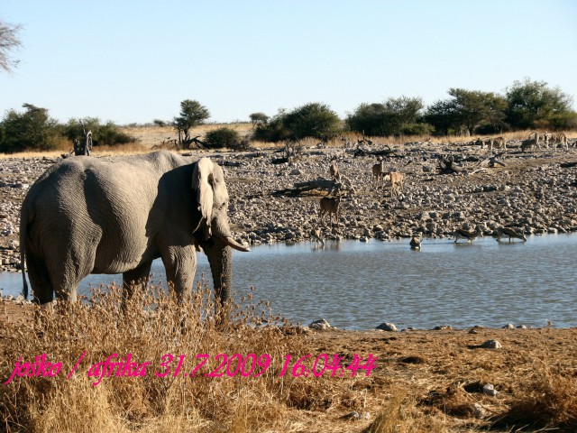 Afrika 2009  - začnite od zadaj !!! - foto