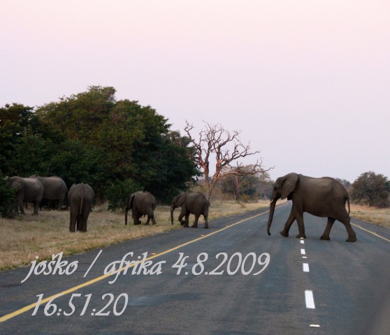 Afrika 2009  - začnite od zadaj !!! - foto