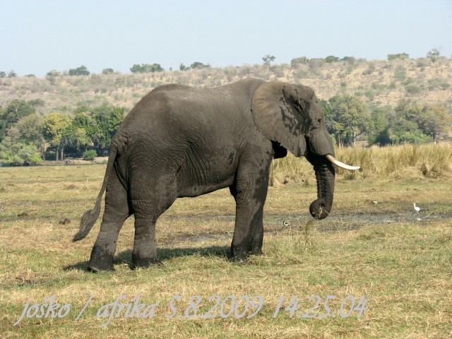 Afrika 2009  - začnite od zadaj !!! - foto