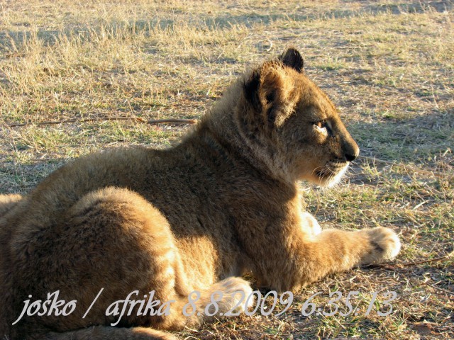 Afrika 2009  - začnite od zadaj !!! - foto