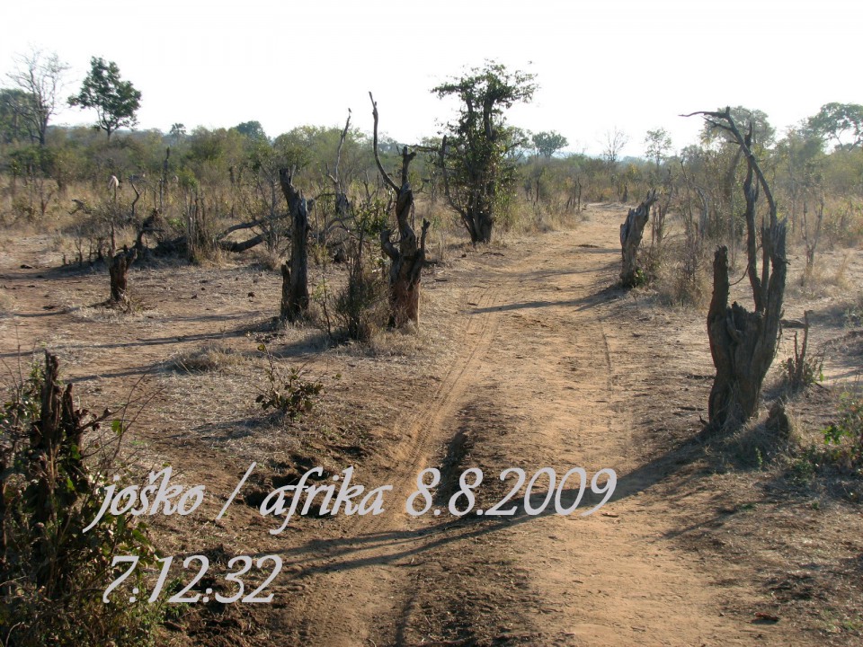 Afrika 2009  - začnite od zadaj !!! - foto povečava