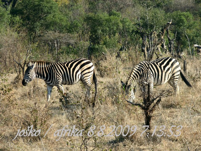 Afrika 2009  - začnite od zadaj !!! - foto