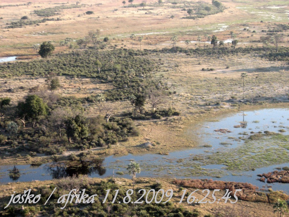 Afrika 2009  - začnite od zadaj !!! - foto povečava