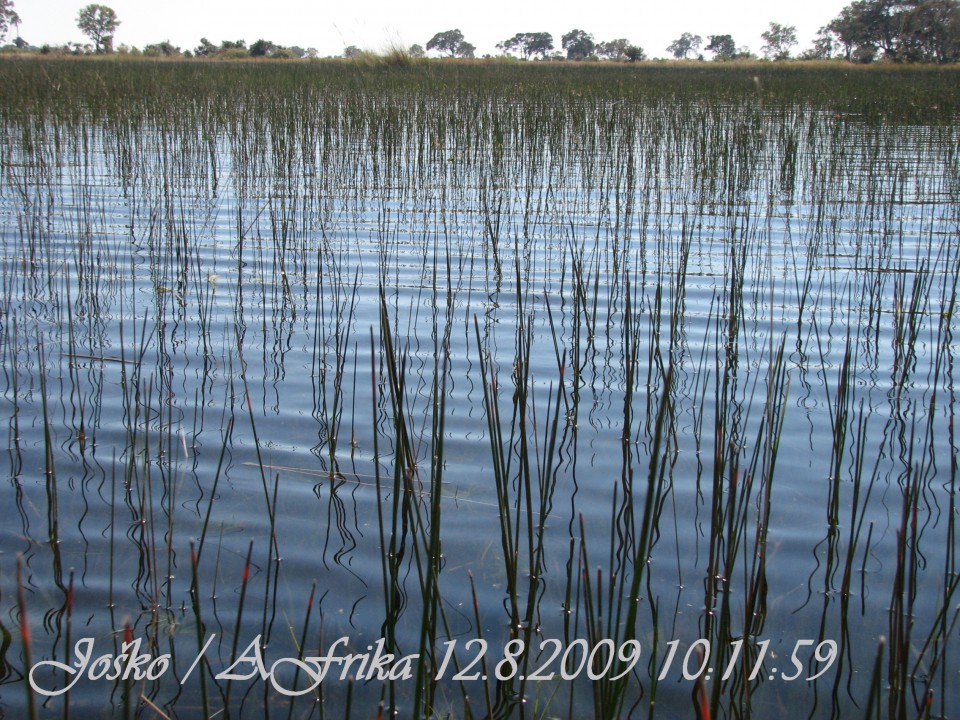 Afrika 2009  - začnite od zadaj !!! - foto povečava