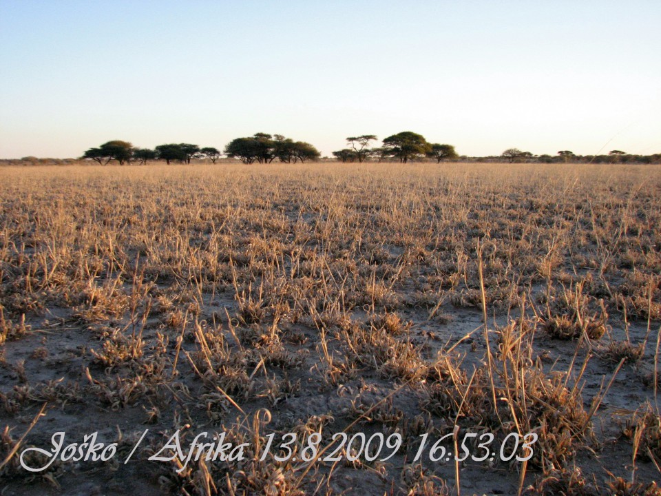 Afrika 2009  - začnite od zadaj !!! - foto povečava