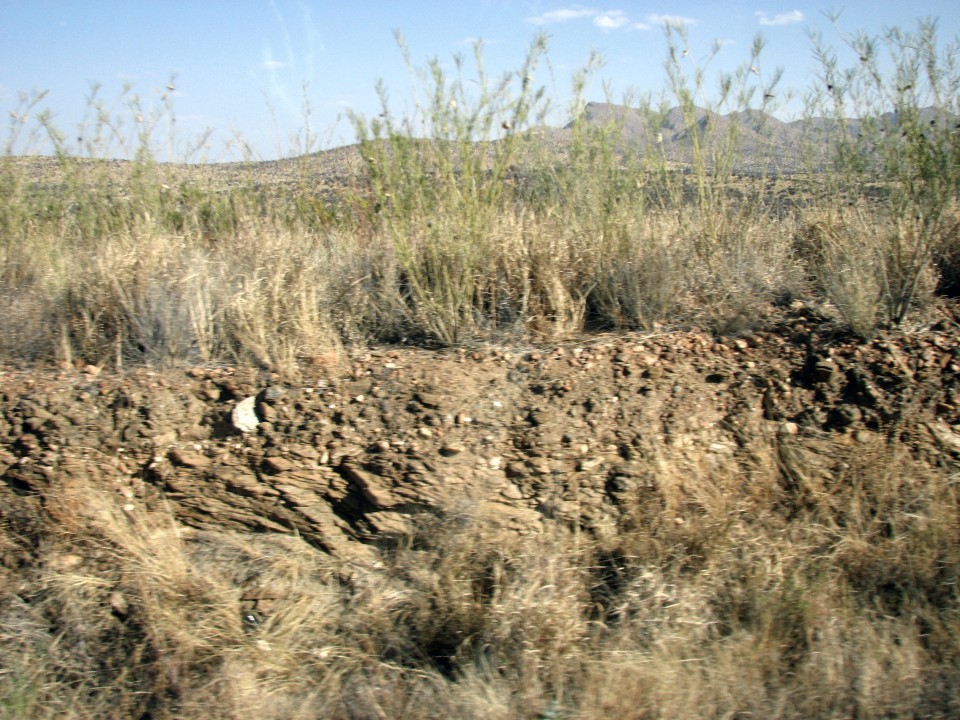 Afrika 2009  - začnite od zadaj !!! - foto povečava