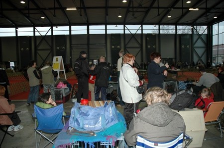 CACIB Ljubljana&Tromostovje 2008 - foto