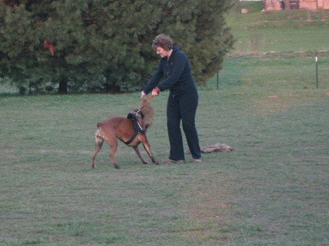 DIVA trening - foto povečava