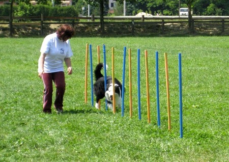 Dan odprtih vrat ŠKD Celeia, 1.6.08 - foto