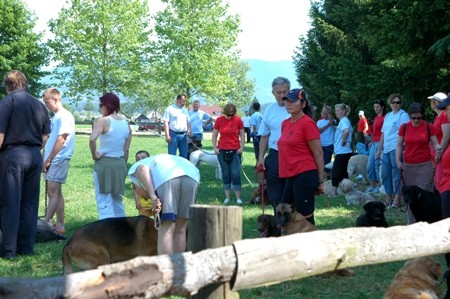 Dan odprtih vrat ŠKD Celeia, 1.6.08 - foto povečava