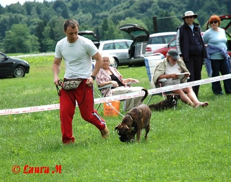 KLNB razstava, 8.6.2008 - foto povečava