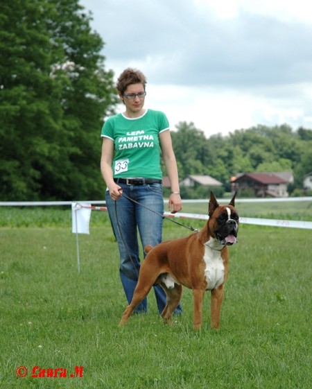 KLNB razstava, 8.6.2008 - foto povečava