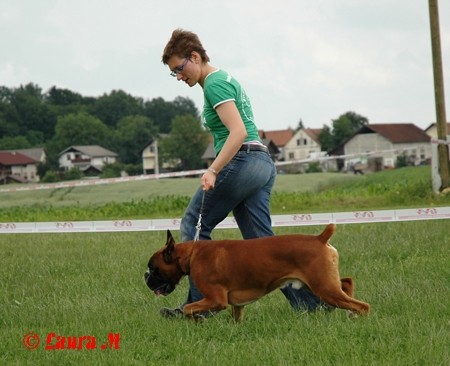 KLNB razstava, 8.6.2008 - foto povečava