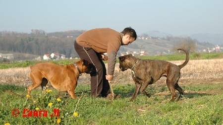 Diva in DCG prijatelji, 16.11.2008 - foto povečava