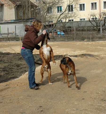 Diva&Nadal, 15.2.2009 - foto povečava