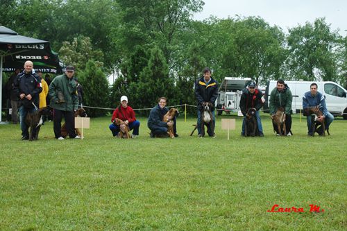 RAVANGRAD BOXER CUP 2010 - foto povečava