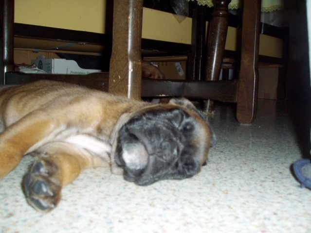 Zzzzzz....
13.9.06