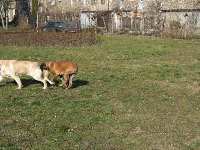 DIVA&prijatelji - foto