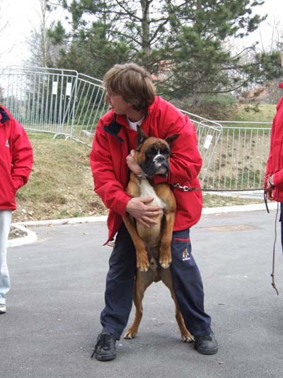 CAC Celje, 25.2.2007 - foto