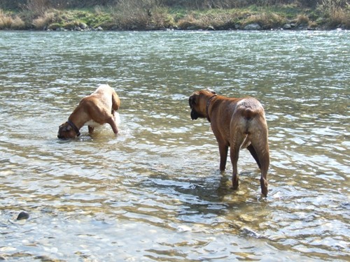 MAREC 2007 - foto povečava