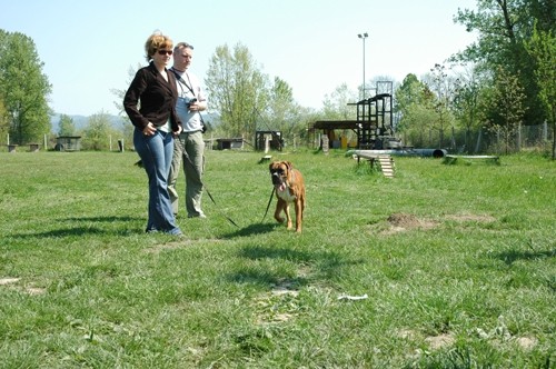 BOKSER PIKNIK, Sneberje-22.4.07 - foto povečava