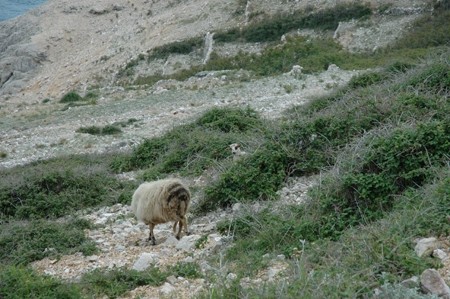 BAŠKA, 27.4. - 3.5.2007 - foto