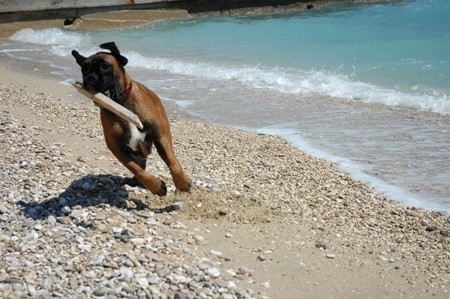 BAŠKA, 27.4. - 3.5.2007 - foto