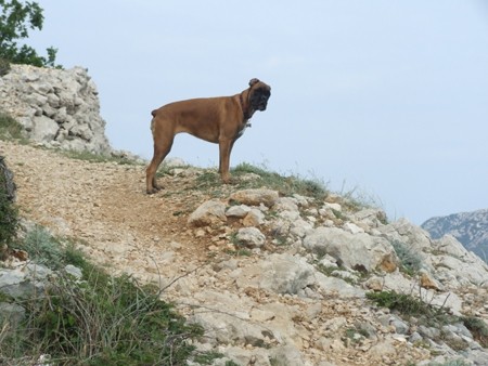 BAŠKA, 27.4. - 3.5.2007 - foto