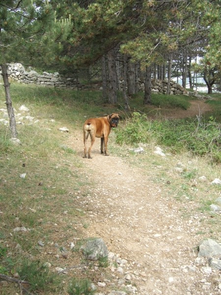 BAŠKA, 27.4. - 3.5.2007 - foto