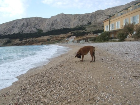 BAŠKA, 27.4. - 3.5.2007 - foto