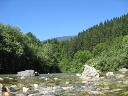 Savinjska, 15.7.2007 - foto povečava