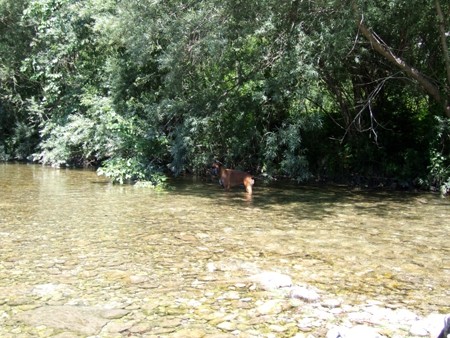 Savinjska, 15.7.2007 - foto povečava