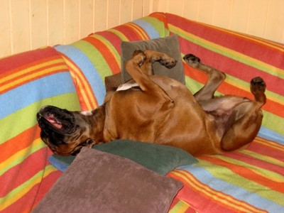 Jesen 2007 - foto