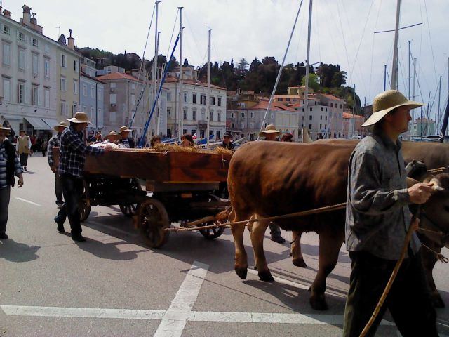 Piran-solinarski festival 2012 - foto