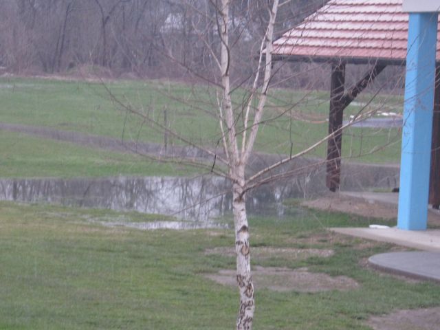 Poplave april 2013 - foto