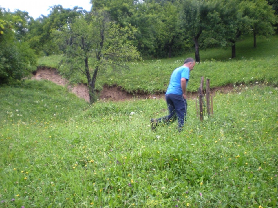 Neurje - foto povečava