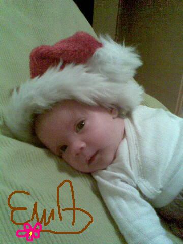 Ema - foto povečava