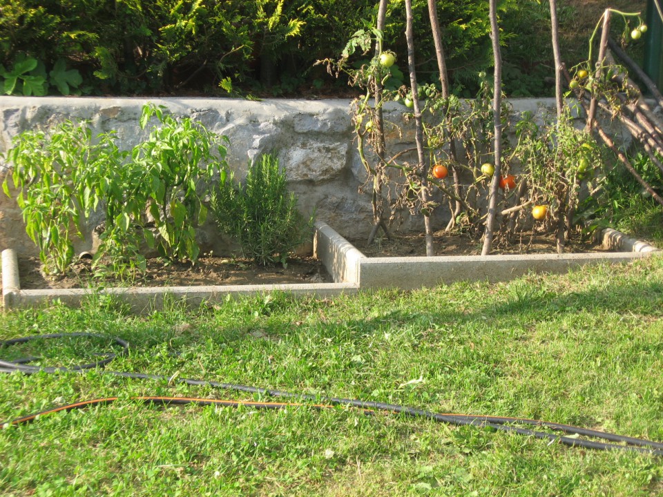 2007 - foto povečava