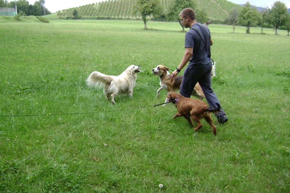 Jimmy, Pupa, Kale in Sana - foto povečava