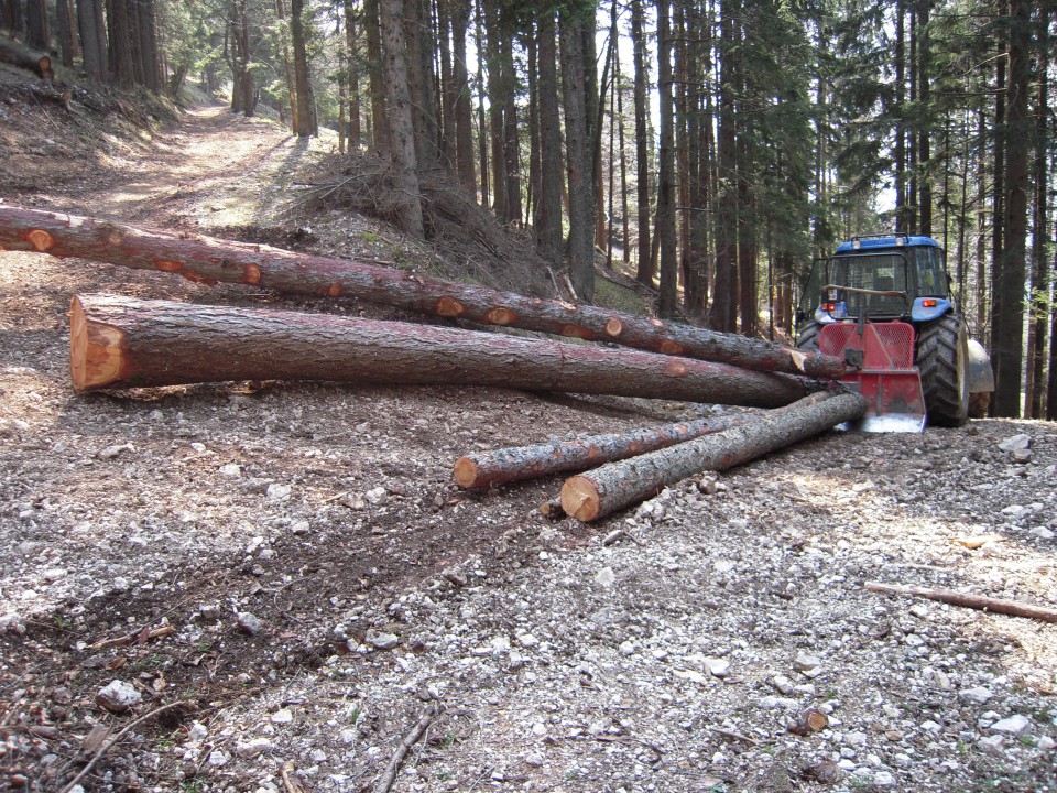 Grebenec.moj-album.com - foto povečava