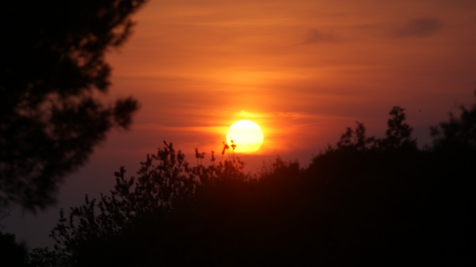 Slike - foto povečava