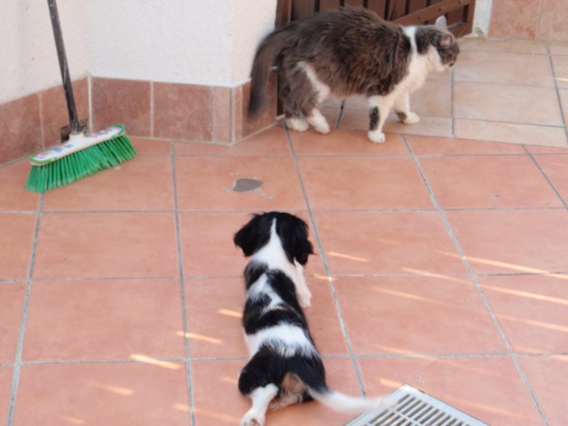 Jaz in kika