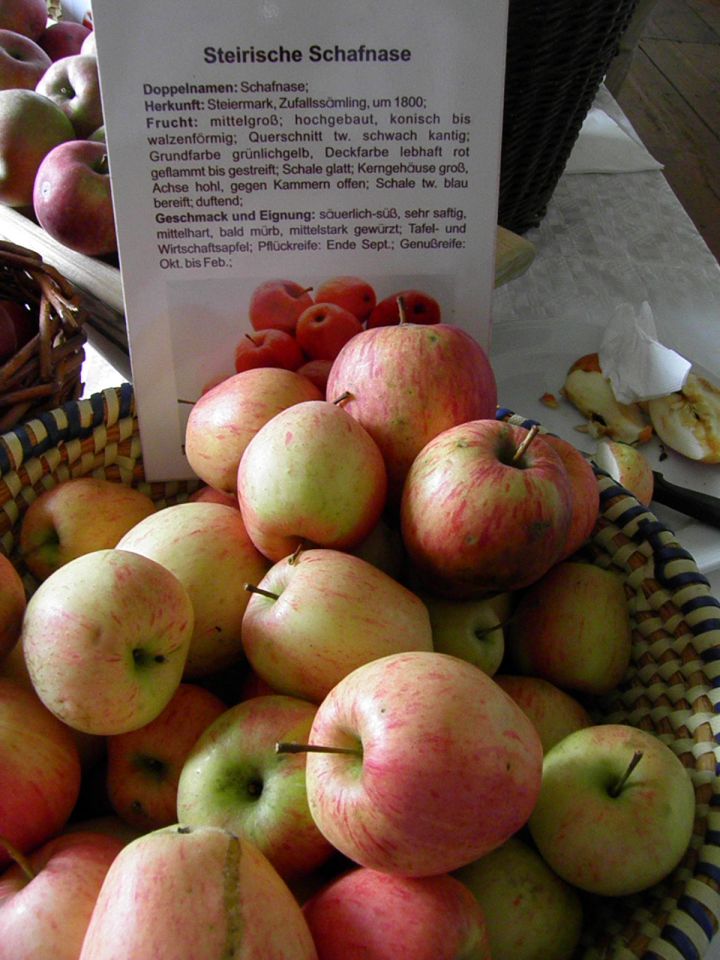 Starinske sorte jabolk in hrušk (1. del) - foto povečava