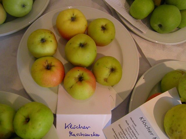Starinske sorte jabolk in hrušk (1. del) - foto