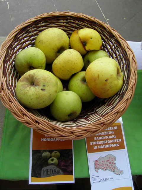 Starinske sorte jabolk in hrušk (1. del) - foto