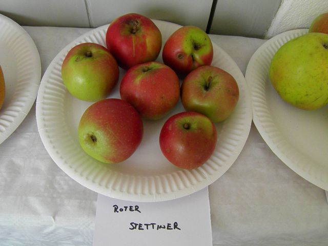 Starinske sorte jabolk in hrušk (2. del) - foto
