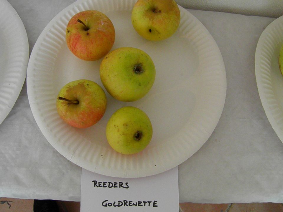 Starinske sorte jabolk in hrušk (2. del) - foto povečava