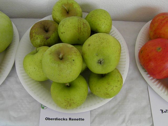 Starinske sorte jabolk in hrušk (2. del) - foto