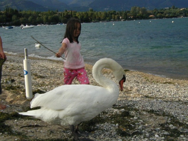 Labodje jezero - foto