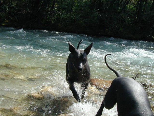 Moji dragi - foto